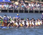 6月5日，澳洲昆士兰客家会在布里斯本南区的森林湖畔，举办第七届龙舟竞赛多元文化活动。（倪尔森／大纪元）