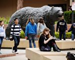 為平衡公立大學財務，加州議會正在討論大幅提高加州大學外地生學費。圖維加大洛杉磯分校一角。(Kevork Djansezian/Getty Images)