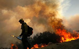 加州圣芭芭拉爆发山火 一夜延烧1200英亩