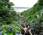 日本梅雨季最美景点大盘点（一）