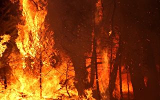 松火蔓延1600英畝 火勢仍無法控制