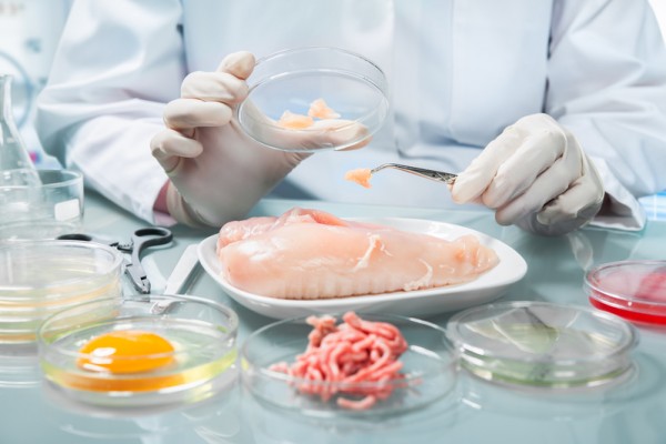 Food quality control expert inspecting at poultry specimen Food quality control expert inspecting at poultry specimen