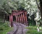 阿里山秘境水山巨木步道 避暑勝地