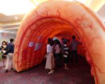 「關心腸健康-新唐人健康展」上的巨型充氣腸模型（林丹|大紀元）