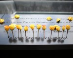 美公布911档案报告：疑沙特官员或事先知情