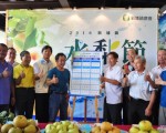 新埔水梨甜脆上市 促銷活動連兩日