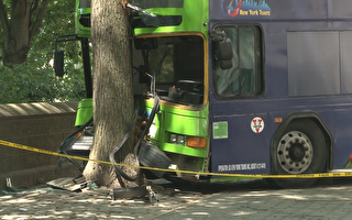 纽约双层观光巴士撞树 九人受伤