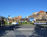 南澳大利亚部分法轮功学员在首府阿德雷德的维多利亚广场举行讲真相活动并展示功法。（李倩西/大纪元）