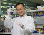 悉尼Westmead医学研究所华裔研究员James Chong博士获得梅特卡夫奖。 (AAP Image/Supplied)