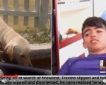 墨西哥一名男孩日前参加夏令营之旅，在山上迷了路，幸运得到一只拉布拉多犬相助，两天后终于获救。（youtube截图）