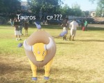 图：加州圣地亚哥的Pokemon Go游戏迷们在一处公园捕捉小精灵。（宋希／大纪元）
