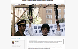 關鍵評論網：中國的器官移植濫用惡化