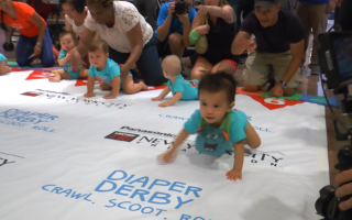 紐約嬰兒爬行大賽  華裔寶寶9秒奪冠