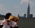 曼哈頓擁有世界離地面最高的蜂巢。 (Chris Hondros/Getty Images)