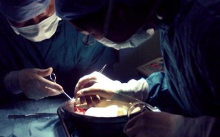 组图：国际医学期刊杂志谴责中共强摘器官