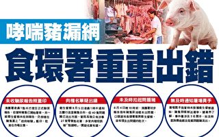 哮喘猪漏网 香港食环署重重出错