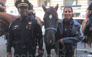 「甘尼，謝謝你！」 舊金山為警馬舉辦退役儀式