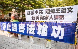 沙海林访台 台北市议员吁还王治文自由