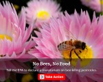 “环境加州”洛杉矶成员呼吁民众继续上网签名，敦促环保局尽快出台新法令，保护蜜蜂的生存环境。（environmentcalifornia.org）