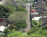 屏市61棟日式宿舍群要拆 文化界抗議