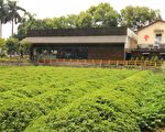 行銷觀光通吃 二水農情館加碼採果