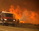 截至周四（18日）下午，从周二早上开始在卡洪山口（Cajon Pass）地区爆发的蓝刻大火（Blue Cut fire）已经吞噬3.1万英亩土地，只有4%的大火被控制，红色警报也依然没有解除。( David McNew/Getty Images)