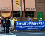 法轮功坚持中国城讲真相 更多民众支持反活摘