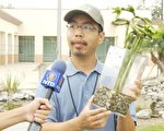 兹卡山雨欲来 居民如何防范