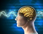 美国加州大学洛杉矶分校的脑神经科学家丹尼尔•西格尔 （Daniel Siegel）教授认为，人的思想不受大脑的限制，甚至不受身体限制，其来源超出人肉体的范围。（fotolia）