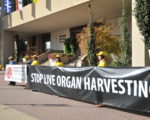 汽車之旅志願者在紅鹿市市政廳前和平抗議中共強摘器官，呼籲制止迫害法輪功。（黃鐘樂/大紀元）