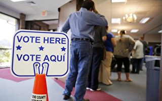 大選臨近　美德州爭議性選民身份證法律暫放寬
