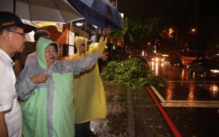高市長陳菊14日晚間視察林泉路口路樹移除。（高市府養工處提供）