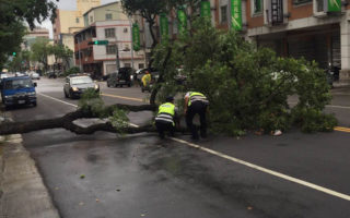 台风梅姬威力强  中市多处招牌路树吹落