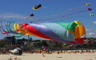 澳最大风筝节即将登陆邦岱海滩