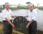 礁溪鄉長林錫忠（右）展示現撈起的「海の蝦」。（曾漢東／大紀元）
