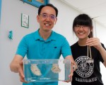 “乌贼会算数” 清大研究登自然期刊