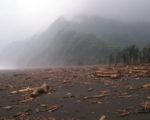 擅自捡拾漂流木恐触法 打捞海上漂流木应归还
