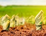想在土地上「種出」黃金,就不能不留意土地背後的信息。(shutterstock)