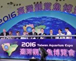 觀賞魚博覽會高雄登場 珍奇魚蝦總動員