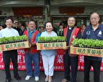 嘉县观光协会致赠88灾区高冷无毒菜苗