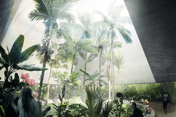 植物园将建 梦幻 玻璃温室悉尼公司独特设计夺魁 灭绝的植物 澳大利亚国家植物园 热带植物 大纪元