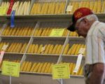 中國公民莫海龍涉嫌盜取美國玉米良種被美國聯邦法庭判監3年。圖為2015年8月愛荷華州在玉米節展示玉米。 (Justin Sullivan/Getty Images)