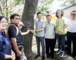 新竹公園植栽改善 為樹把脈診斷有一套