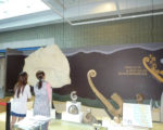 科博館土桑化石菁華展 看鱟魚足跡