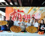 陽光下SPA的黃金球 預告新埔柿餅節來臨