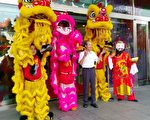 尚顺育乐世界盛大开幕 祭百万奥迪名车