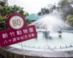 市立動物園80大壽 新竹市要辦慶生會