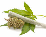 加拿大退伍军人大麻年开支料增至近两亿