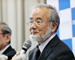 日本分子細胞生物學家大隅良典（Yoshinori Ohsumi）因發現自體吞噬（autophagy）的機制而獲得今年的諾貝爾醫學獎。 (Ken Ishii/Getty Images)