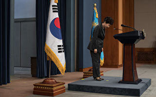 朴槿惠支持率降至5% 韩国史上民望最低总统
